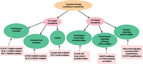 Frontiers Recent Progress In Targeted Therapy For Non Small Cell Lung