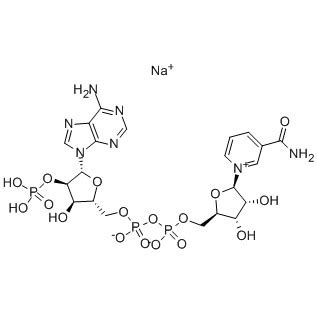 High Quality β Nicotinamide adenine dinucleotide phosphate oxidized