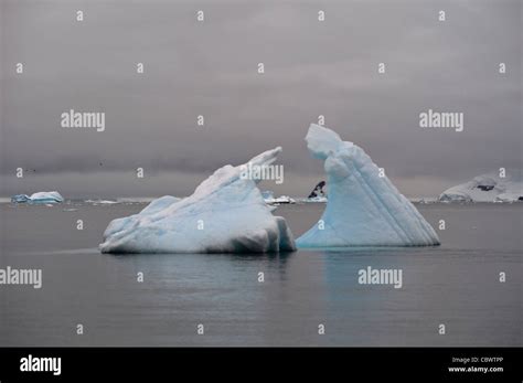 ICEBERGS WILHELMINA BAY ANTARCTICA Stock Photo - Alamy