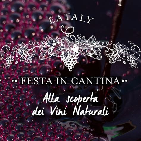 Festa In Cantina Alla Scoperta Dei Vini Naturali Aula Vino