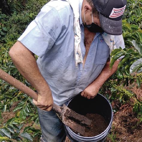 Programa De An Lisis De Suelos Caf De Antioquia