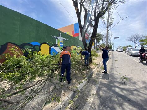 Defesa Civil Realiza Poda Preventiva De Rvores Na Av Tenente Marques