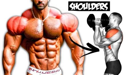 Most Effective Shoulders Workout To Get Rounded Shoulders Youtube