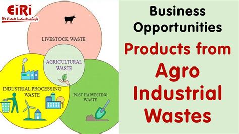 Products From Agro Industrial Wastes Project Report Waste