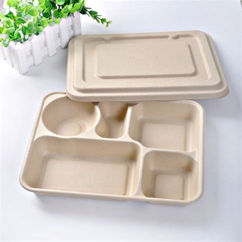 China Eco Friendly Biodegradable Disposable Straw Pulp Fast Food