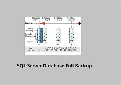 File Backup In Sql Server Step By Step Tutorial With Examples Nbkomputer