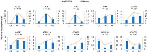 Ijms Free Full Text Integrated Analysis Of Transcriptome And