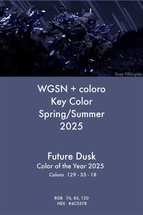 Key Color S S Future Dusk And Color Of The Year Wgsn Coloro