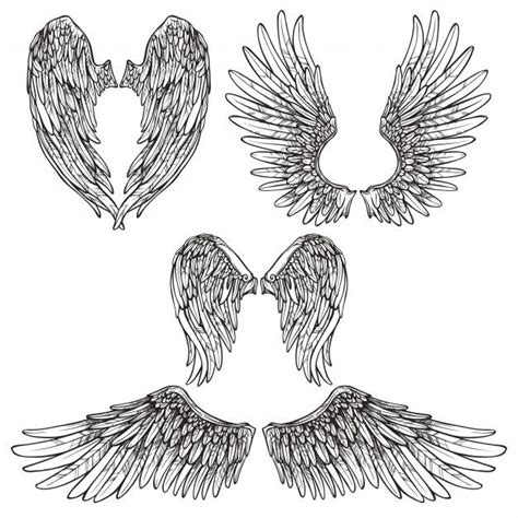 Wings sketch set Free Vector | Free Vector #Freepik #vector # ...