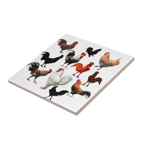 Rooster Collage Vintage Rustic Chickens Tile Zazzle