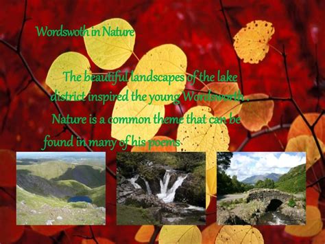 William wordsworth - the nature's poet