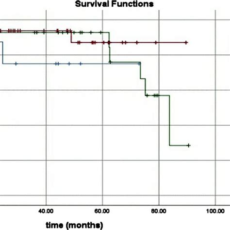 Kaplan Meier Curve Survival Analysis Of Freedom From Re Intervention