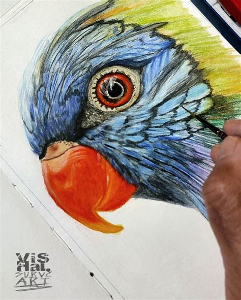 WIP Rainbow Parrot Watercolor by vishalsurvearts on DeviantArt