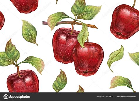 Seamless Pattern Red Apples Realistic Vector Illustration Plant Hand