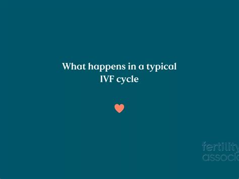 What Happens In A Typical Ivf Cycle • Fertility Associates