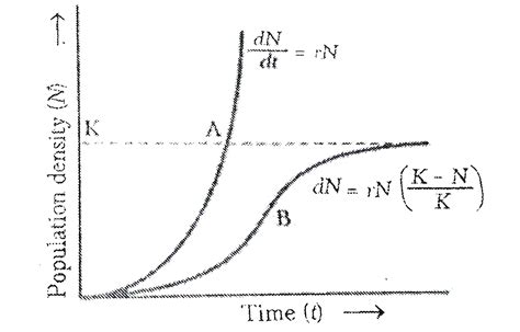 Exponential Population Growth Graph