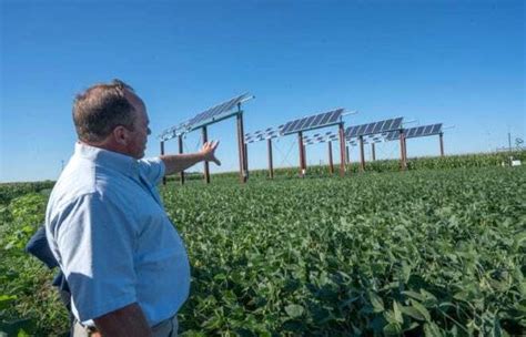 Can Solar Panels And Row Crops Coexist On Farmland Across The Skeptical Corn Belt Nina Mason