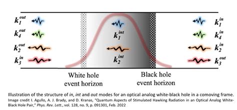 Analog White Hole Black Hole Pair Demonstrates How Event Horizons Are