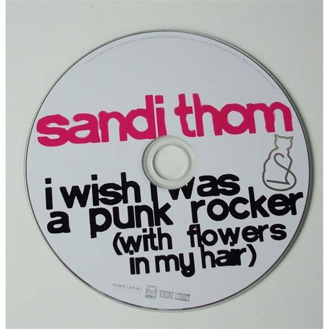 I wish i was a punk rocker (with flowers in my hair) by Sandi Thom, CDS ...