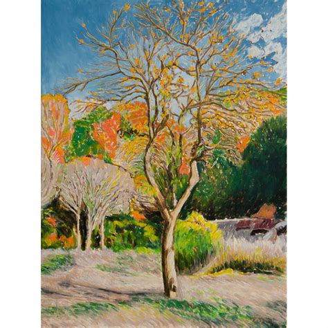 Persimon Tree, Shirakawago – Monda Gallery