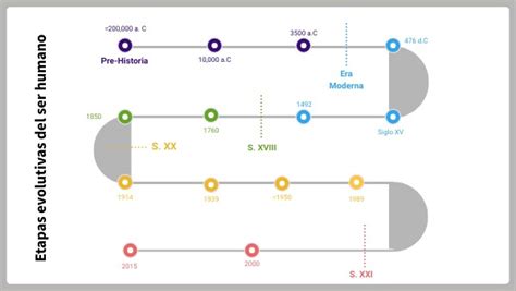 Línea Del Tiempo Etapas Evolutivas Del Ser Humano
