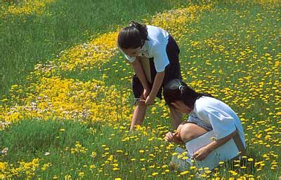 Save the Date! California Native Plant Society Conference - Rooted In ...