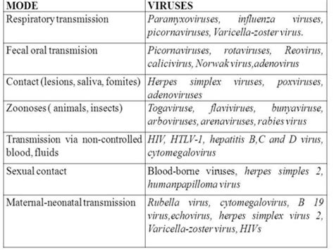 Viral Pathogenesis Flashcards Quizlet