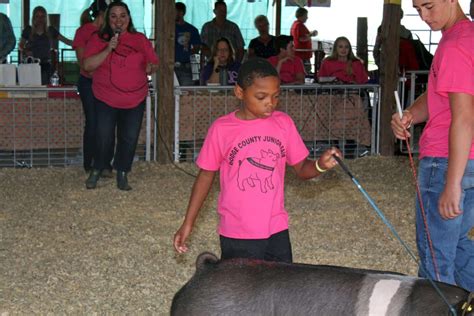 2023 Dodge County Fair - Pig Pals | Daily Dodge