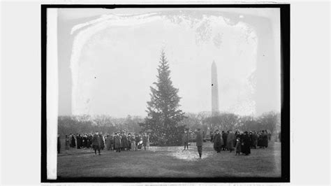 How the Christmas tree tradition came to be | Live Science