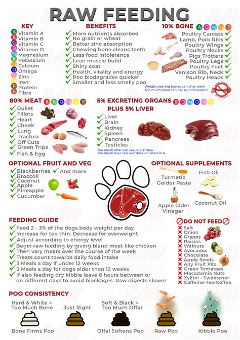 Raw Feeding Cheat Sheet - Raw Necessities