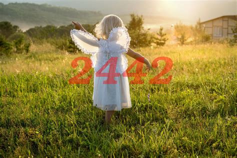What Should You Do If You Keep Seeing The 2442 Angel Number ...