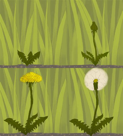 Patrik Komljenović Dandelion Animated Short