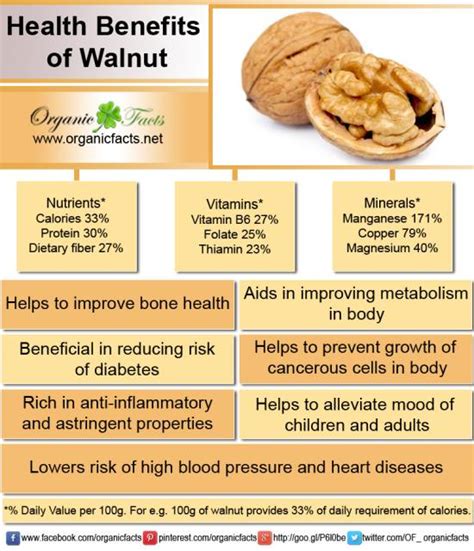 7 Benefit Of Eating Walnut You Didnt Know Lilian Ngozis Blog