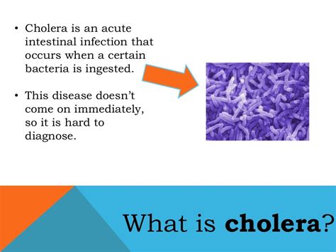 Cholera Powerpoint