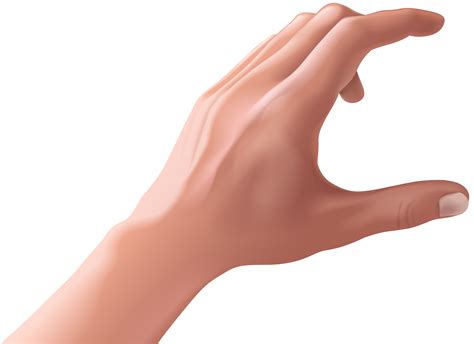 Holding Hand PNG Clipart | Gallery Yopriceville - High-Quality Free Images and Transparent PNG ...