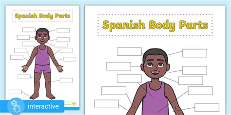 👉 Interactive PDF: Spanish Body Parts Worksheet - Twinkl