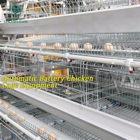 Hightop Design Tiers Poultry Farm Equipment A Type Battery Layer