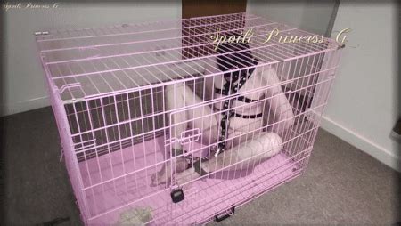 My Devoted Personal Slave Nude Pics XHamster