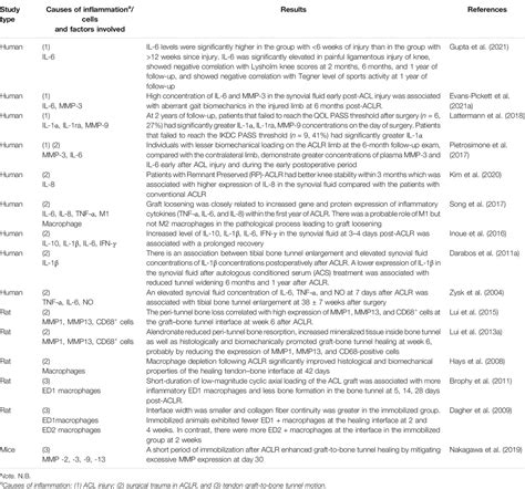 Frontiers Tackling The Challenges Of Graft Healing After Anterior