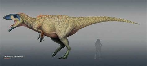 Top Biggest Carnivorous Dinosaurs Ever My Dinosaurs