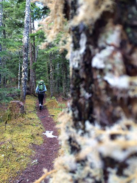 Clearwater Lake trail, near Terrace BC | Clearwater lake, Travel, Clear ...