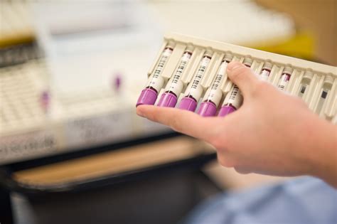 Wellington SCL | LinkedIn