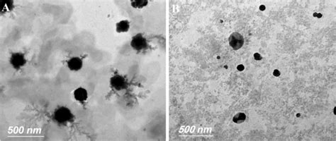 Repro Protective Activity Of Amygdalin And Spirulina Platensis In