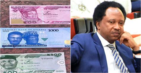 Naira Scarcity Enrol In Judo Or Taekwondo Classes Shehu Sani Tells