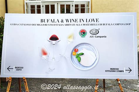 BUFALA WINE IN LOVE GUIDA CATALOGO AI MIGLIORI VINI DITALIA