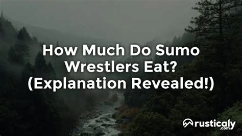 How Much Do Sumo Wrestlers Eat? (Described for Everyone)