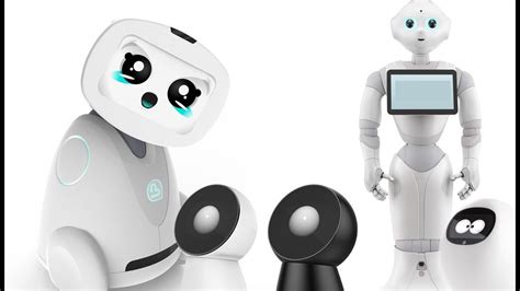 5 Domestic Robots That You Must Have Youtube