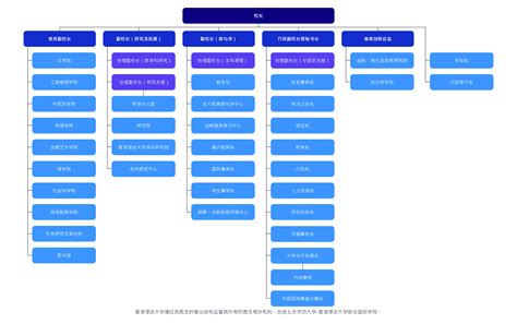 大学组织图 香港浸会大学