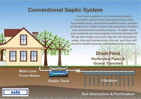 Ccls Septic Tank Treatment Additive Organic Enzyme Producing Bacteria