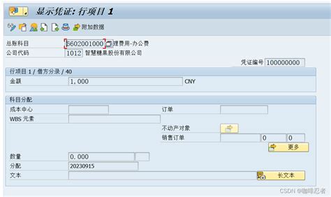 【sap Fi】1gl总账会计4凭证的预制，过账，查看和修改sap 预制凭证 Csdn博客